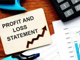 Profit and loss statement image