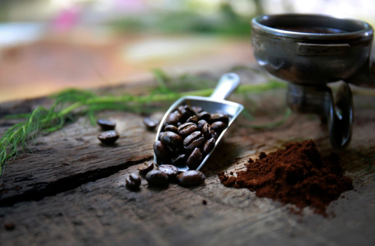 Coffee shops generate waste: coffee grounds, oils, leftover food, and grease.